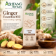 Ashtang Herbals Ginger Oil
