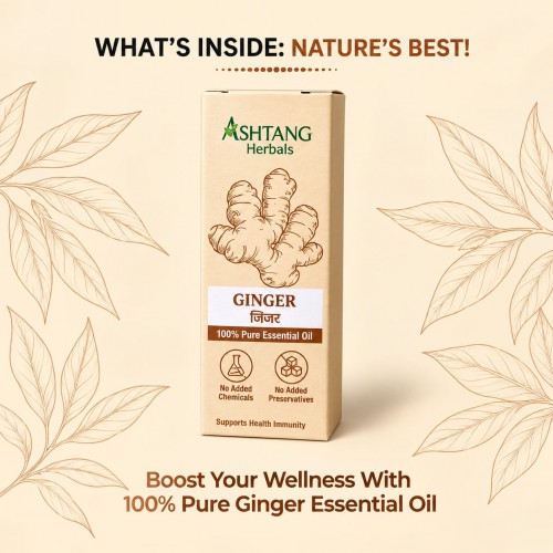 Ashtang Herbals Ginger Oil