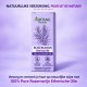 Ashtang Herbals Rozemarijn olie